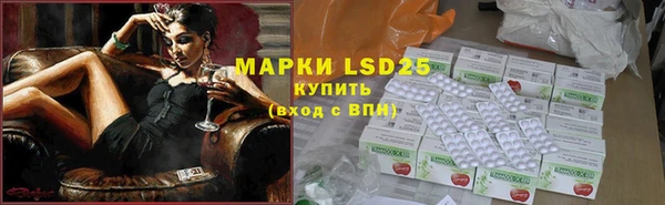 крисы Абаза