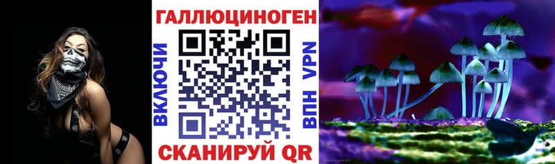 Псилоцибиновые грибы Psilocybine cubensis  площадка Telegram  Альметьевск 