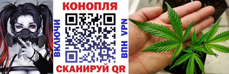 Бошки Шишки THC 21% Альметьевск